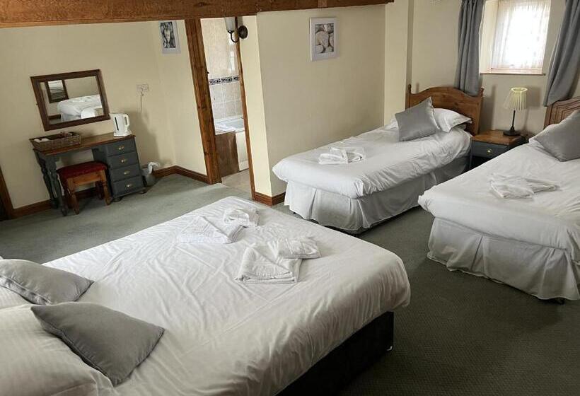 정원 전망 4인용 스탠다드 룸, The White Lion