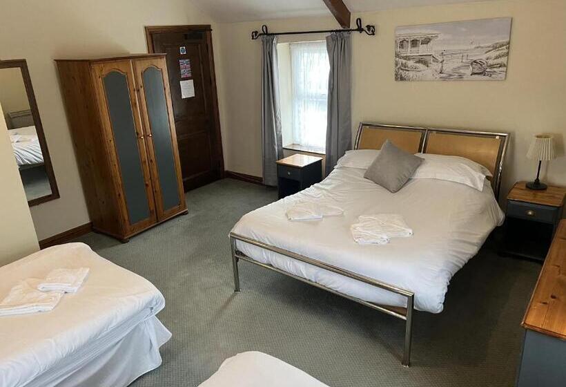 정원 전망 4인용 스탠다드 룸, The White Lion