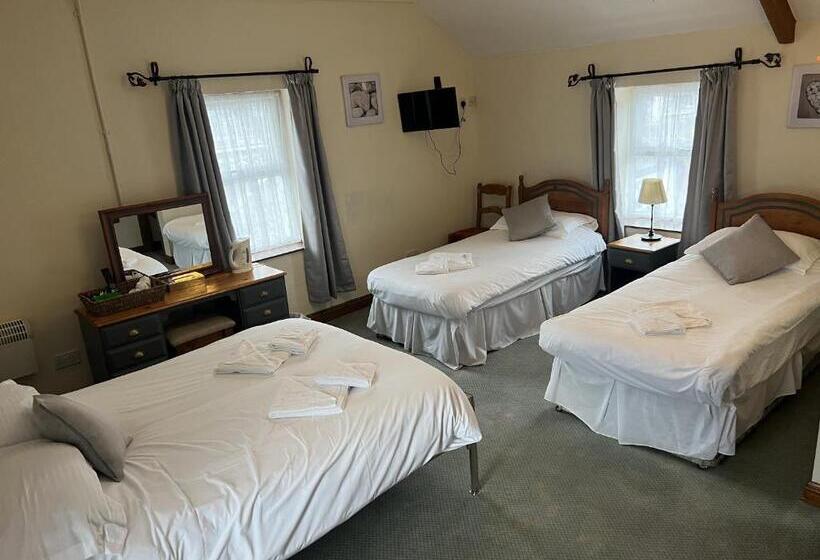 정원 전망 4인용 스탠다드 룸, The White Lion