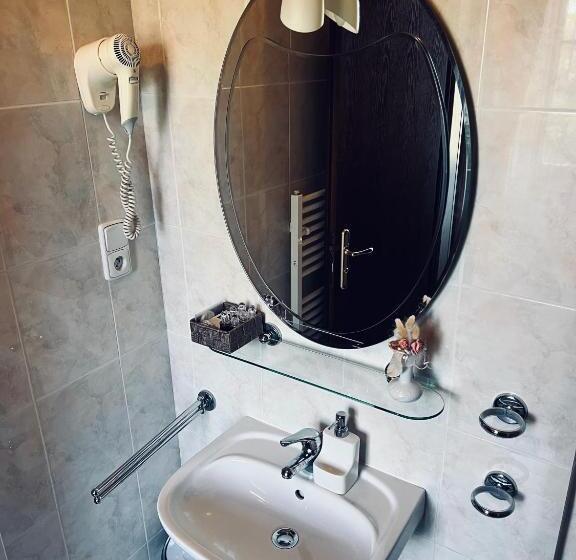 Номер Deluxe Одноместный, Penzion Villa Ancora