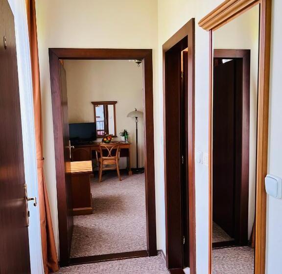 Номер Deluxe Одноместный, Penzion Villa Ancora