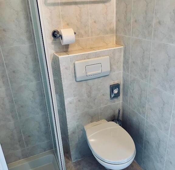 Номер Deluxe Одноместный, Penzion Villa Ancora