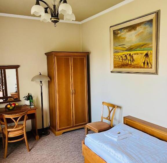 Номер Deluxe Одноместный, Penzion Villa Ancora