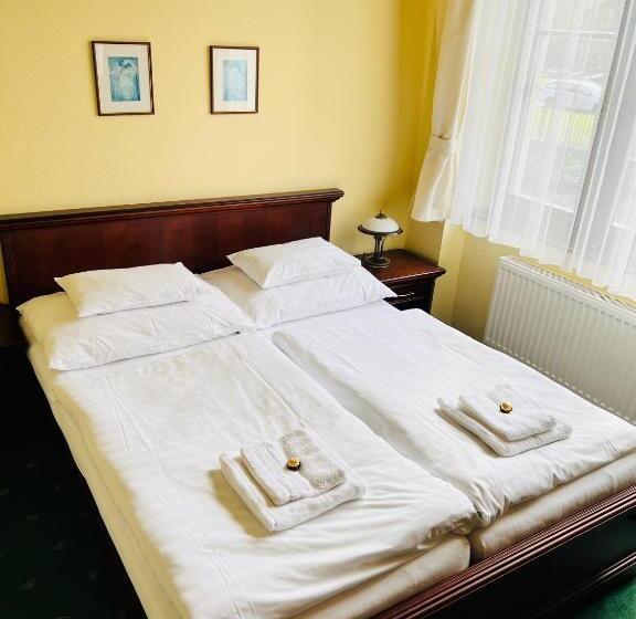 Апартаменты Deluxe 1 Спальня, Penzion Villa Ancora