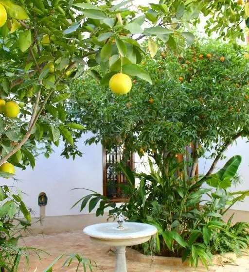 اتاق استاندارد, Riad El Morocco