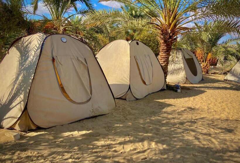 چادر با خدمات رفاهی استاندارد, Oasis Hot Spring