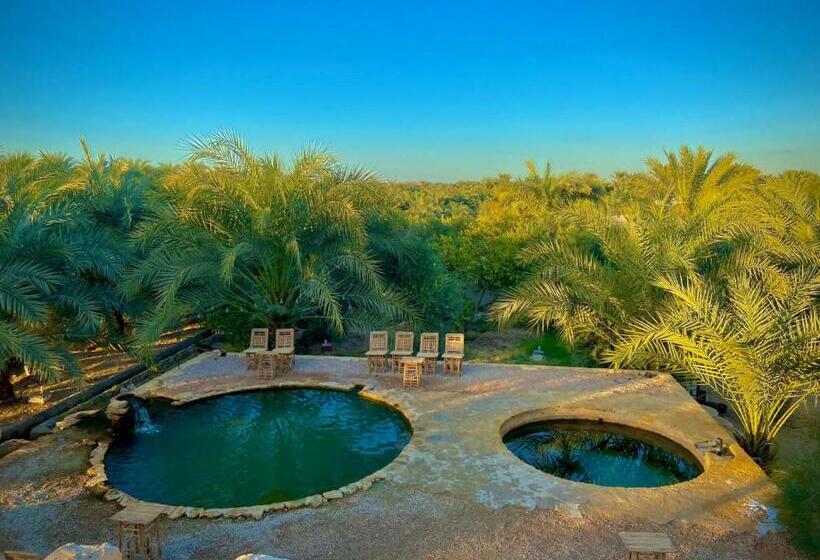 چادر با خدمات رفاهی استاندارد, Oasis Hot Spring