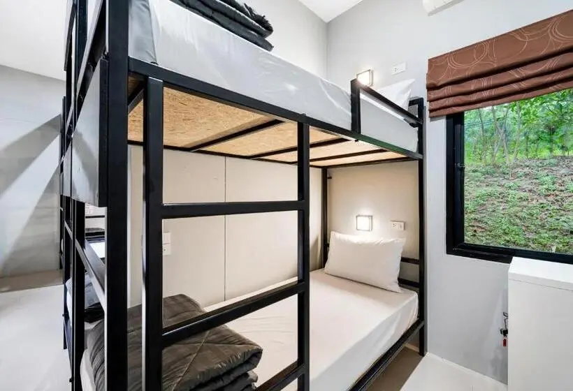 تختخواب در اتاق مشترک, Chill Inn Samui Hostel And Restaurant