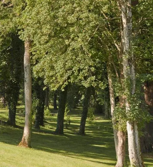 1ベッドルームハウス, Domaine Le Mezo