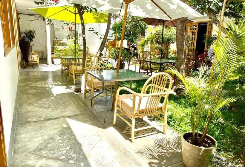 اتاق خانوادگی, Garden House Ica