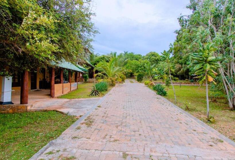 标准间带露台, Sakura Cherry Blossom Cabanas