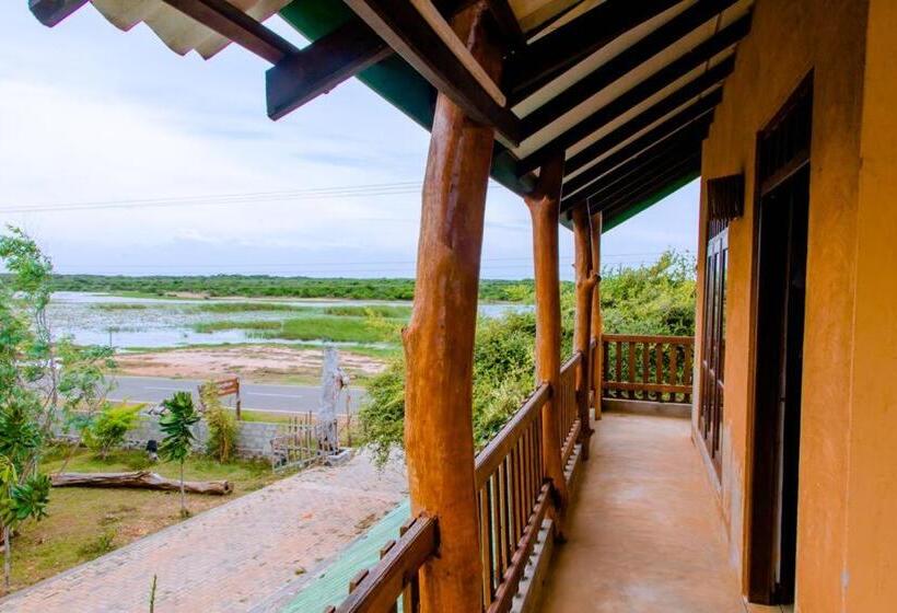 家庭间, Sakura Cherry Blossom Cabanas