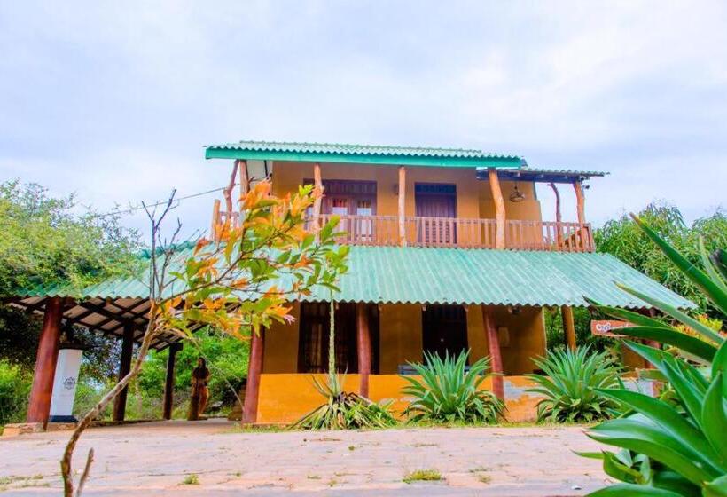 家庭间, Sakura Cherry Blossom Cabanas