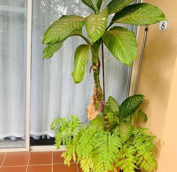 스탠다드 룸, Busa House