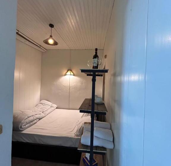 스탠다드 룸, My Friendly