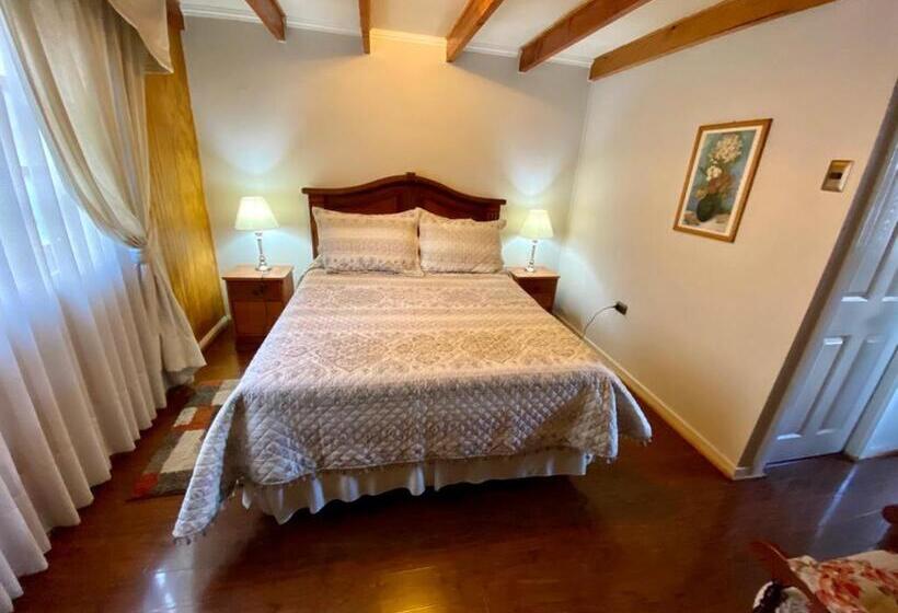 스탠다드 싱글 룸, Hostal Collins House