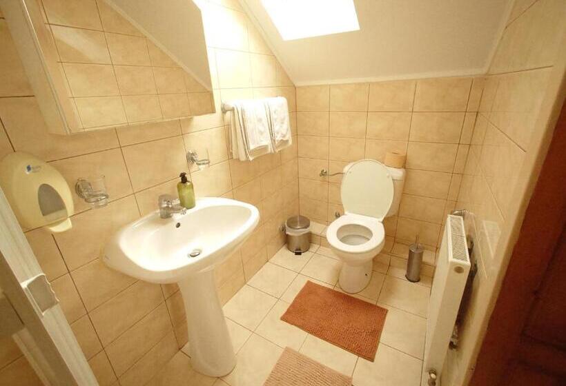 スタンダードルーム, Pensiunea San