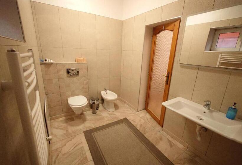 スタンダード4人部屋, Pensiunea San