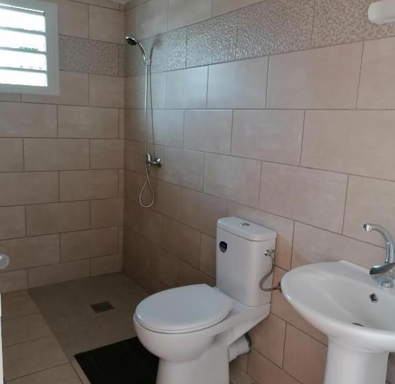 اتاق استاندارد, Anae