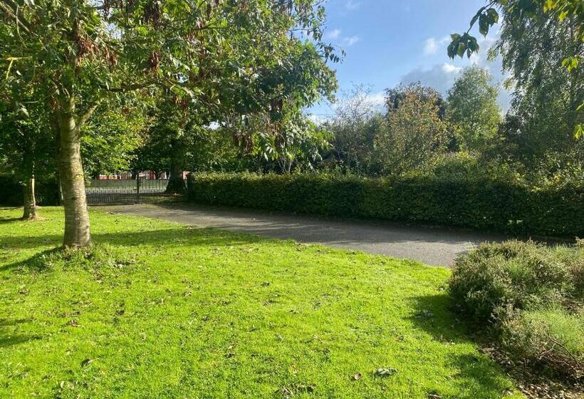 Номер Стандарт, Oak House Laois B&b