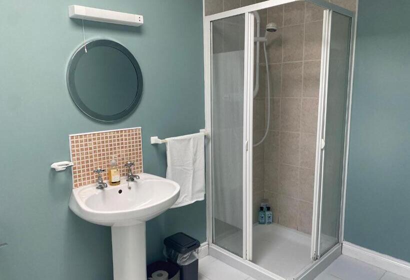 Номер Стандарт, Oak House Laois B&b