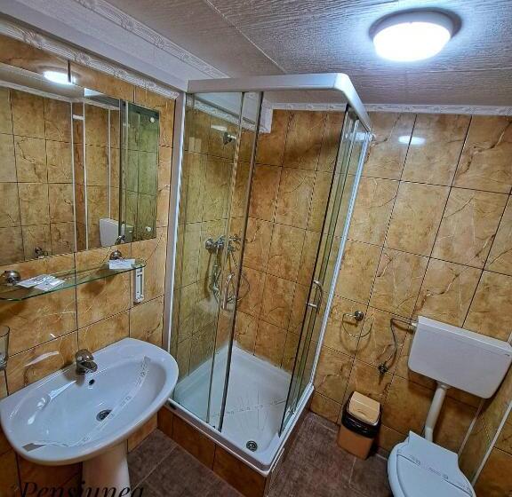 غرفة قياسية, Pensiunea Paradis