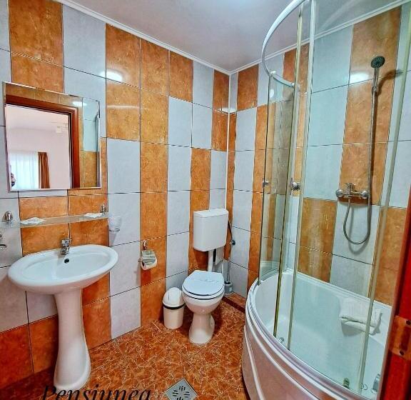 غرفة قياسية, Pensiunea Paradis