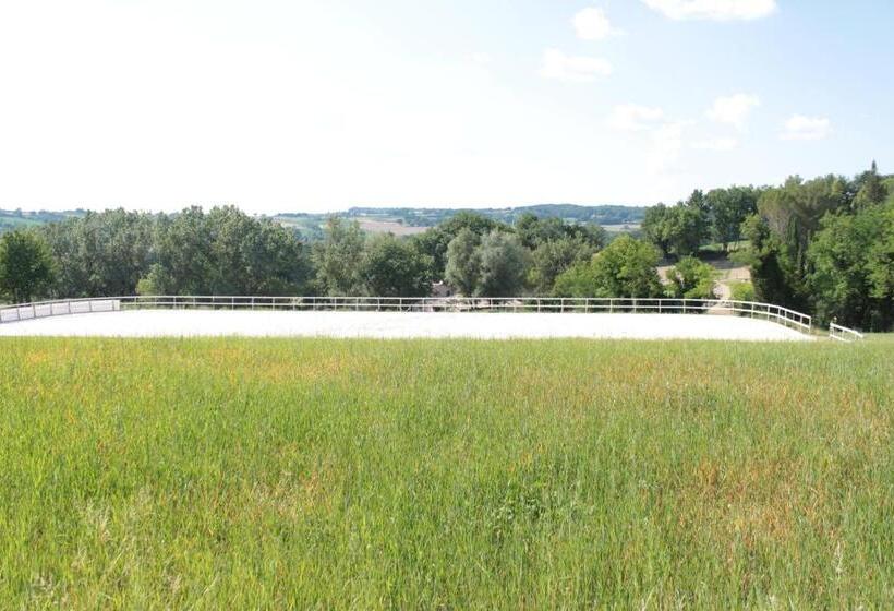 Номер Стандарт, Radius Horse Ranch B&b