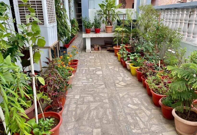 Одноместный Номер Basic, Garg Complex Guesthouse