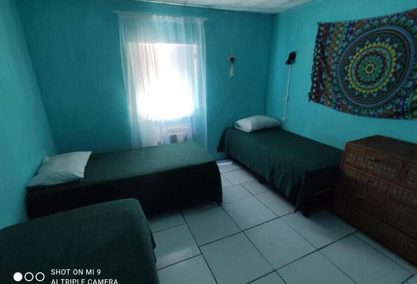 共用房间的床, Raizes Surf And Bar Hostel