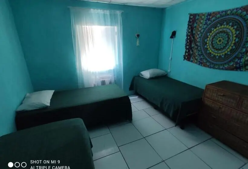 ルームシェアのワンベッド, Raizes Surf And Bar Hostel