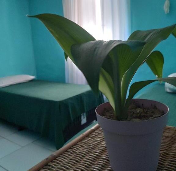 共用房间的床, Raizes Surf And Bar Hostel