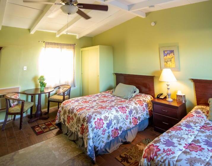 豪华房间, Harmony Motel