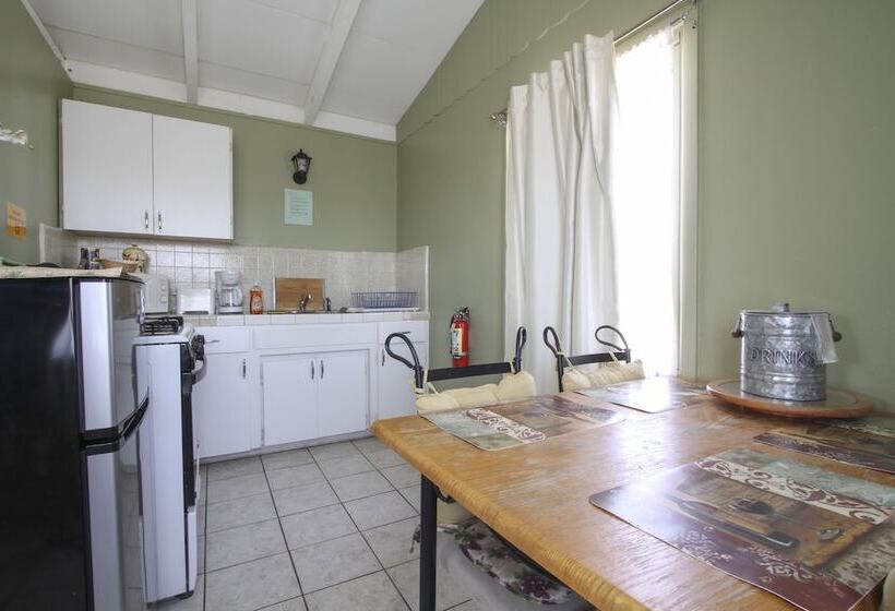 带大床的豪华间, Harmony Motel