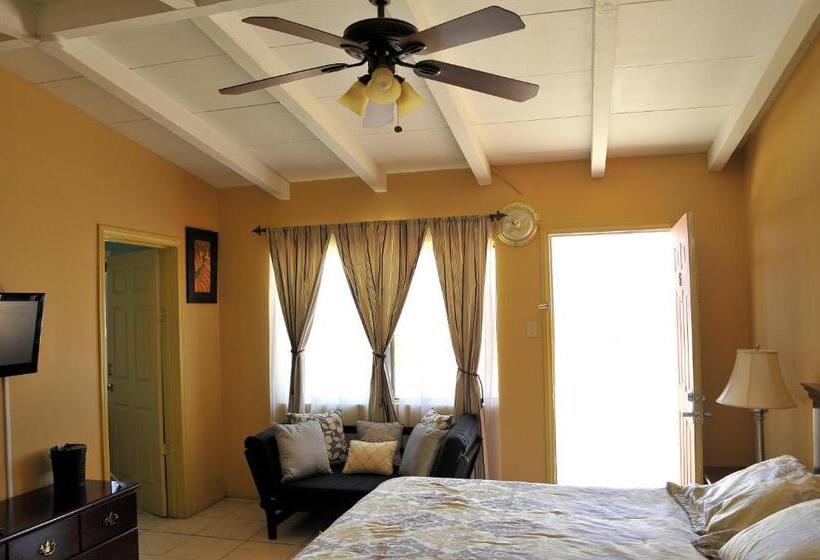 带大床的豪华间, Harmony Motel