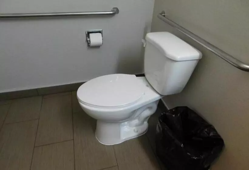身障者適用スタンダードルーム, Continental Lodge