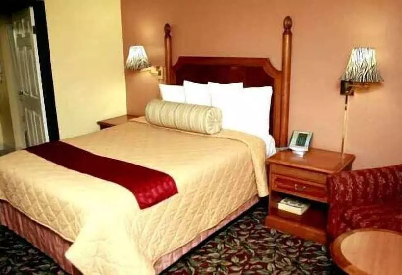 デラックスルーム, Continental Lodge