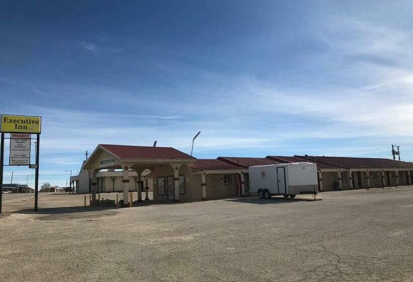 带大床的行政房间, Executive Inn Snyder