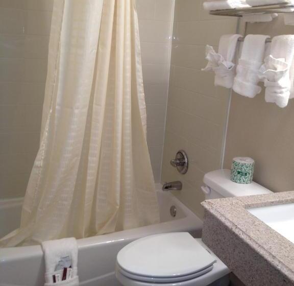 带大床的行政房间, Executive Inn Snyder