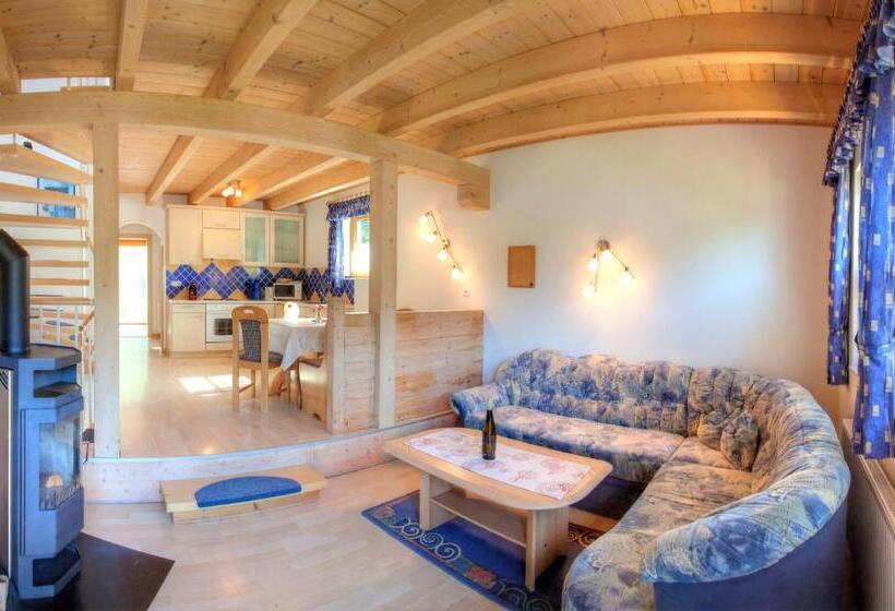 带2个卧室的高级公寓, Ferienhaus Christina & Haus Dr. Krainer