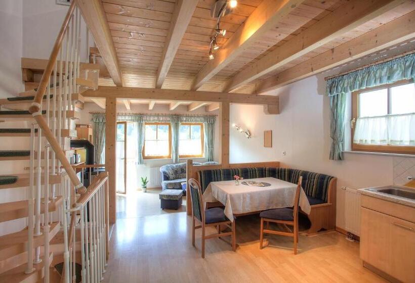 带3个卧室的高级公寓, Ferienhaus Christina & Haus Dr. Krainer