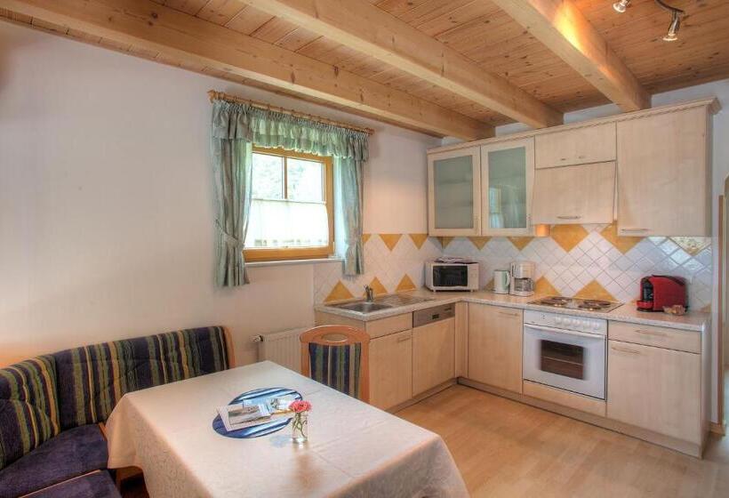 آپارتمان سوپریور 3 خوابه, Ferienhaus Christina & Haus Dr. Krainer