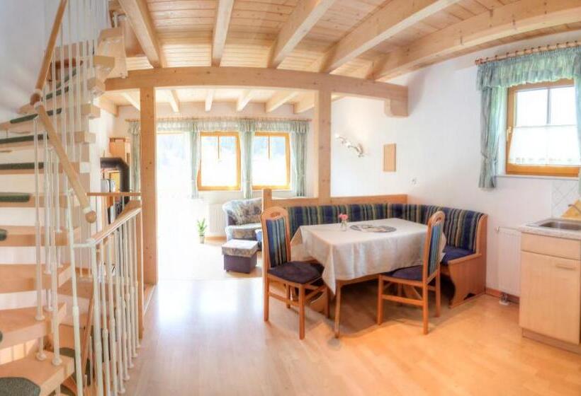 آپارتمان سوپریور 3 خوابه, Ferienhaus Christina & Haus Dr. Krainer