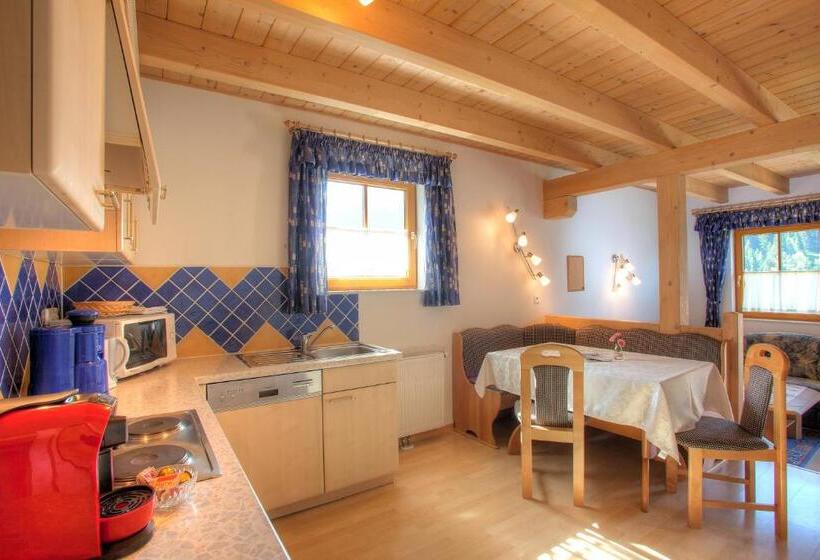 آپارتمان سوپریور 2 خوابه, Ferienhaus Christina & Haus Dr. Krainer
