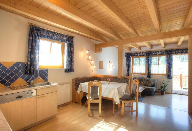 带2个卧室的高级公寓, Ferienhaus Christina & Haus Dr. Krainer