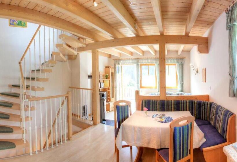 带3个卧室的高级公寓, Ferienhaus Christina & Haus Dr. Krainer