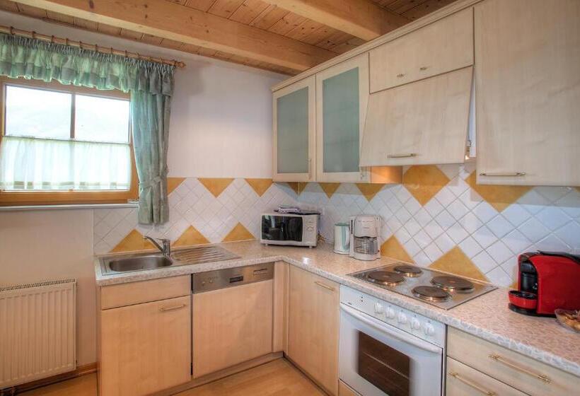 带3个卧室的高级公寓, Ferienhaus Christina & Haus Dr. Krainer