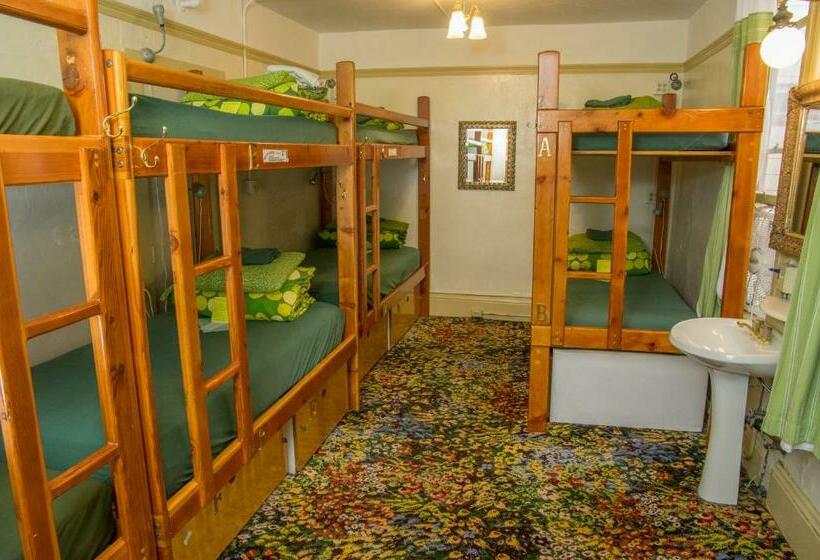 غرفة قياسية حمام مشترك, Green Tortoise Hostel
