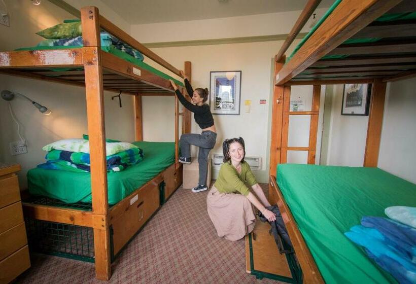 غرفة قياسية حمام مشترك, Green Tortoise Hostel