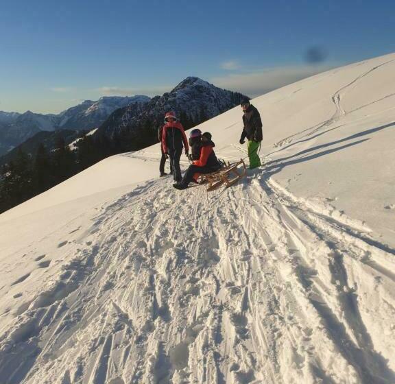 Номер Deluxe, Haus Theresia Alpbach